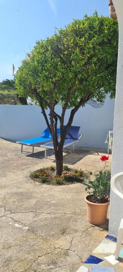 Apartamento Casa Colomba Sant'Angelo  Exterior foto